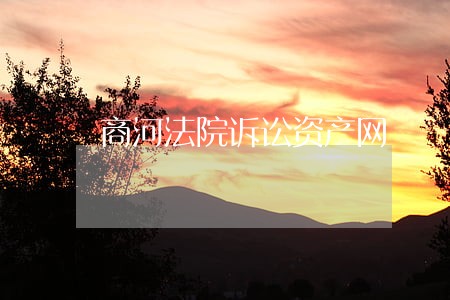 商河法院诉讼资产网
