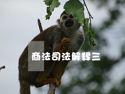 商法司法解释三 商法司法解释三