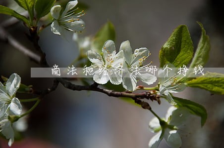 商法和经济法哪个挣钱 商法和经济法哪个挣钱
