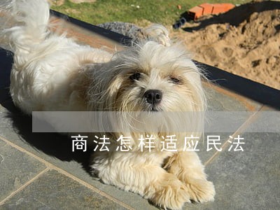 商法怎样适应民法 商法怎样适应民法