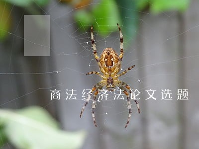 商法经济法论文选题 商法经济法论文选题