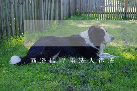 商洛城隍庙法人违法 商洛城隍庙法人违法
