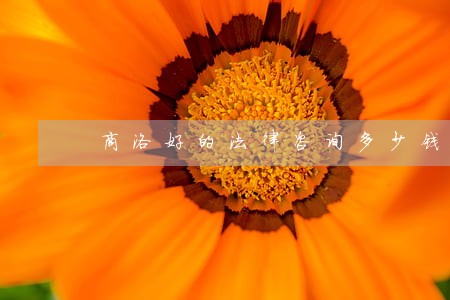 商洛好的法律咨询多少钱 商洛好的法律咨询多少钱