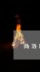 商洛比亚迪实业有限公司法人