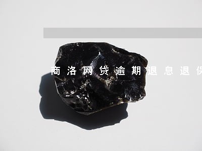 商洛网贷逾期退息退保服务费用