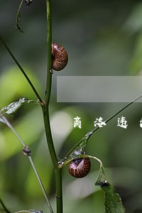 商洛违法贷款人死 商洛违法贷款人死