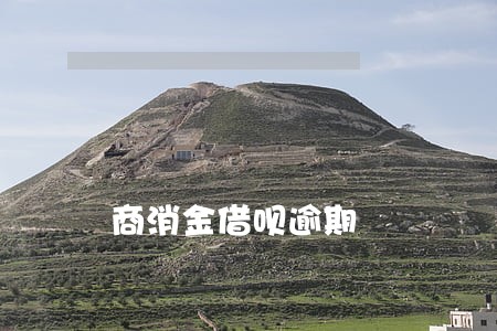 商消金借呗逾期