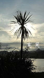 商用车金融贷款逾期