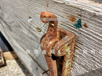 商票逾期6个月如何诉讼 商票逾期6个月如何诉讼