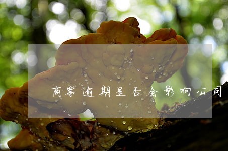 商票逾期是否会影响公司信用评级 商票逾期是否会影响公司信用评级