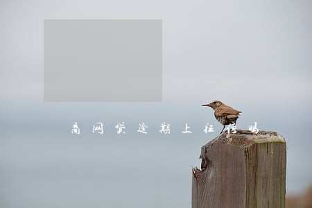 商网贷逾期上征信吗 商网贷逾期上征信吗