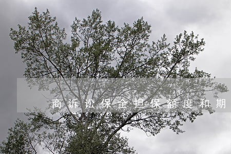 商诉讼保全担保额度和期限 商诉讼保全担保额度和期限