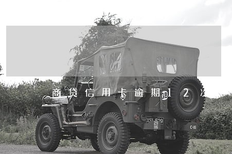 商贷信用卡逾期12次 商贷信用卡逾期12次