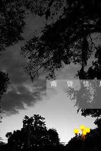 商贷信用逾期多久不能贷款 商贷信用逾期多久不能贷款