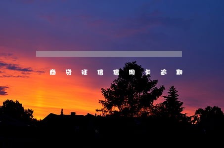 商贷征信信用卡逾期