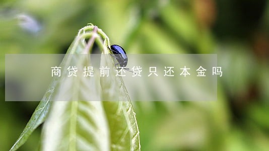 商贷提前还贷只还本金吗