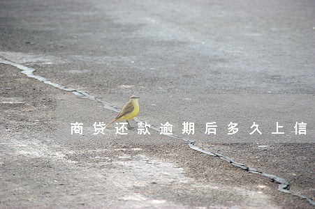 商贷还款逾期后多久上信用记录 商贷还款逾期后多久上信用记录