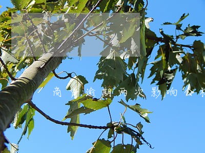 商贷逾期两次影响公积金贷款 商贷逾期两次影响公积金贷款