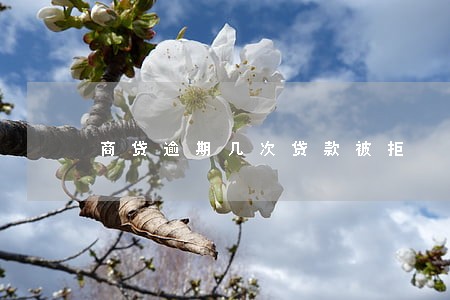 商贷逾期几次贷款被拒 商贷逾期几次贷款被拒
