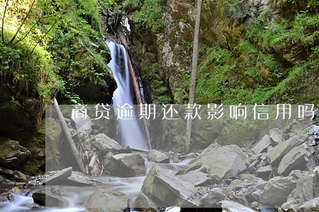 商贷逾期还款影响信用吗 商贷逾期还款影响信用吗