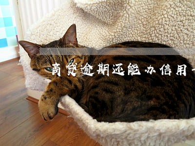 商贷逾期还能办信用卡吗 商贷逾期还能办信用卡吗