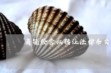 商铺经营权转让法律条文