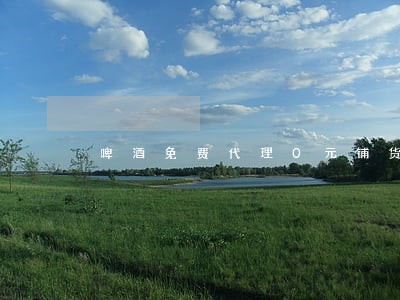啤酒免费代理0元铺货 啤酒免费代理0元铺货