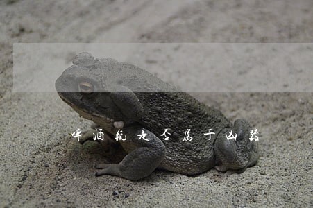 啤酒瓶是否属于凶器 啤酒瓶是否属于凶器