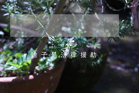 啥子是法律援助 啥子是法律援助