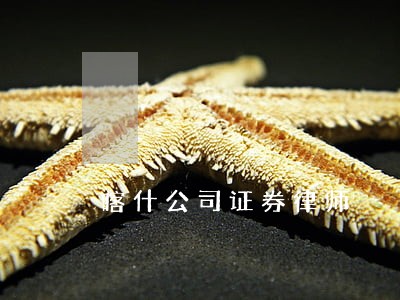 喀什公司证券律师 喀什公司证券律师