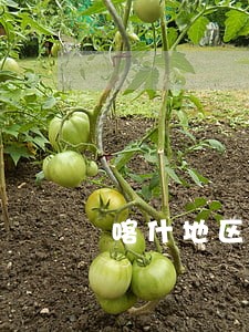 喀什地区司法局普法 喀什地区司法局普法