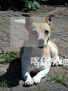 喀什房地产好律师 喀什房地产好律师