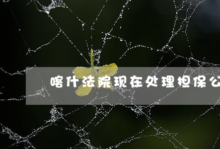 喀什法院现在处理担保公司 喀什法院现在处理担保公司