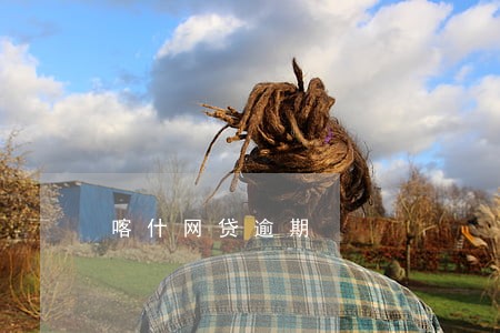 喀什网贷逾期 喀什网贷逾期