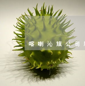 喀喇沁旗公司顾问律师 喀喇沁旗公司顾问律师