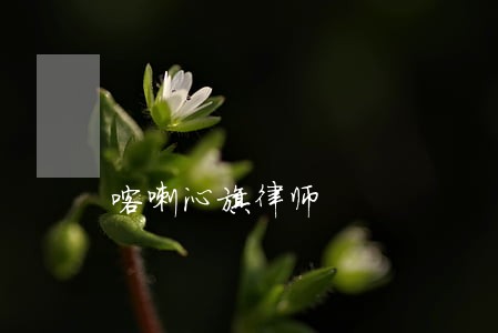 喀喇沁旗律师 喀喇沁旗律师