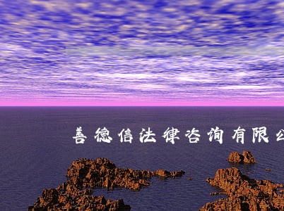 善德信法律咨询有限公司 善德信法律咨询有限公司