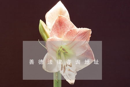 善德法律咨询地址 善德法律咨询地址