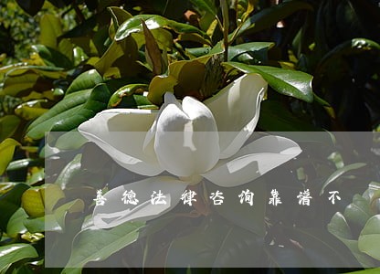 善德法律咨询靠谱不 善德法律咨询靠谱不