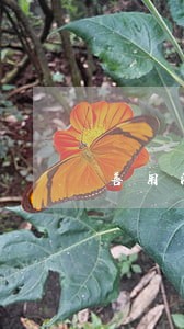 善用法律应对反倾销 善用法律应对反倾销