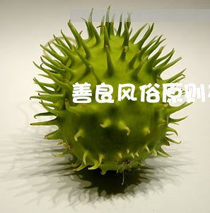 善良风俗原则在司法过程中的运用 善良风俗原则在司法过程中的运用