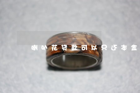 喇叭花贷款可以只还本金吗 喇叭花贷款可以只还本金吗
