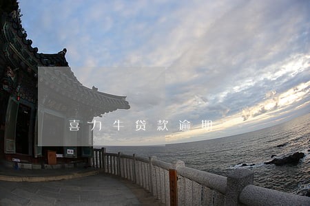 喜力牛贷款逾期 喜力牛贷款逾期