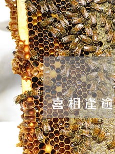 喜相逢逾期1天会拖车吗 喜相逢逾期1天会拖车吗