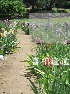 喜相逢逾期1天拖车 喜相逢逾期1天拖车