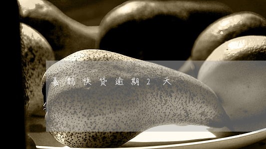 喜鹊快贷逾期2天