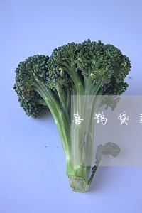 喜鹊贷款逾期20天的严重吗 喜鹊贷款逾期20天的严重吗