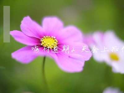 嗨付逾期2天会上征信吗 嗨付逾期2天会上征信吗