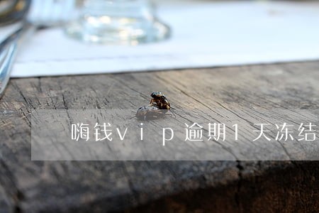 嗨钱vip逾期1天冻结 嗨钱vip逾期1天冻结