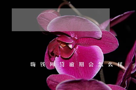 嗨钱网贷逾期会怎么样 嗨钱网贷逾期会怎么样